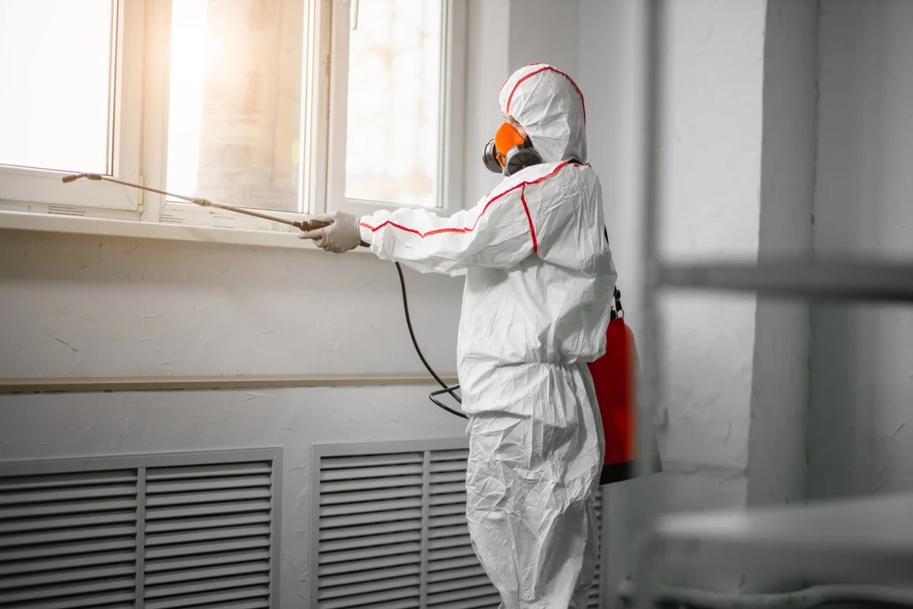 Professional mold remediation services in Peshastin, WA